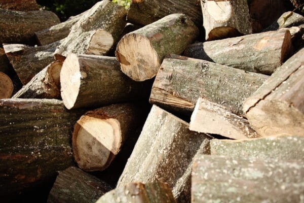 Openhaardhout haagbeuk Openhaardhout haagbeuk